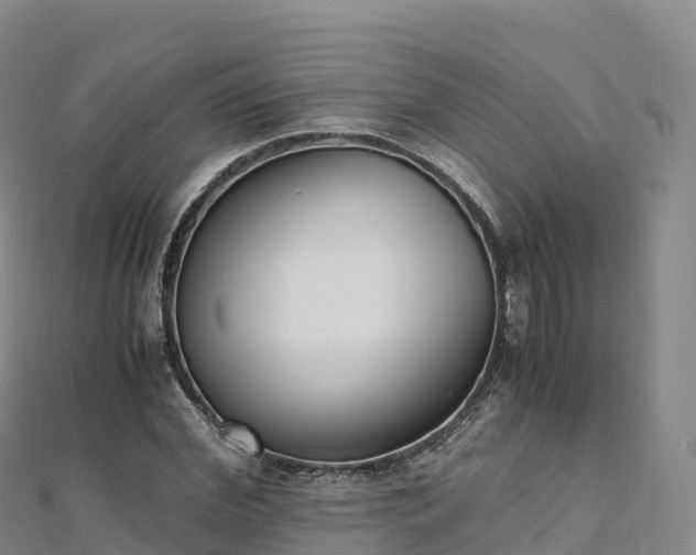 X0000110730972200906191522