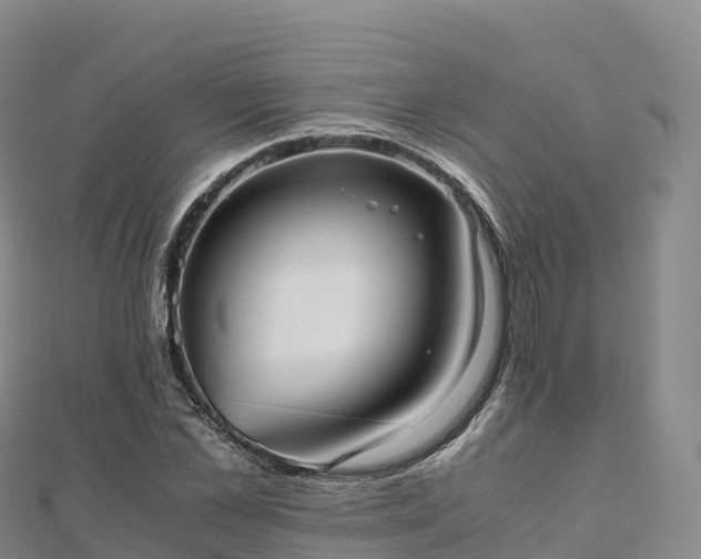 X0000110730973200906191522