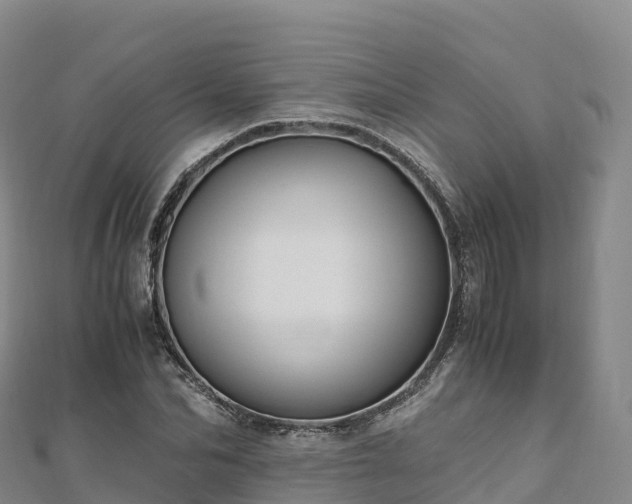 X0000110730974200906191522