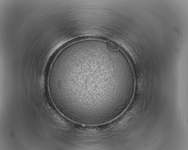 X0000110730975200906191522