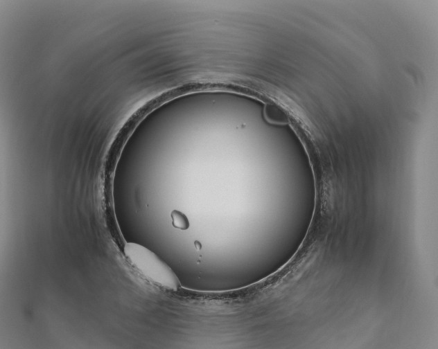 X0000110730976200906191522