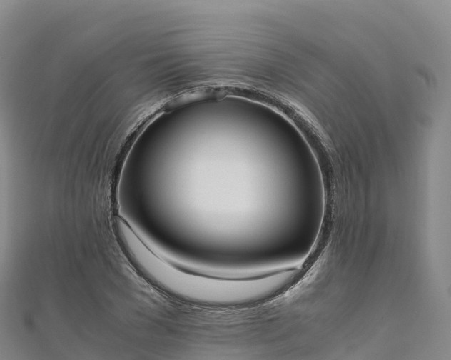 X0000110730977200906191522