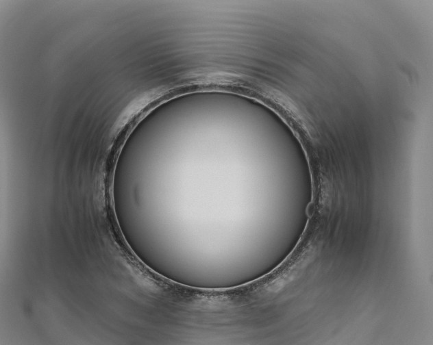 X0000110730978200906191522