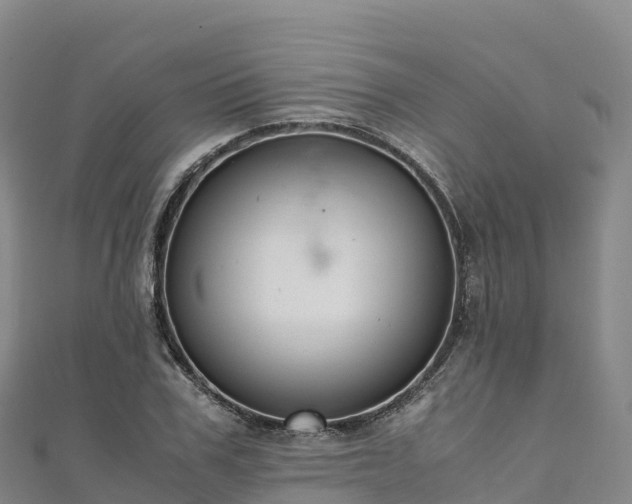 X0000110730979200906191522