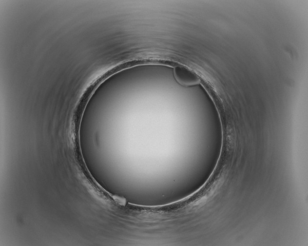 X0000110730981200906191522