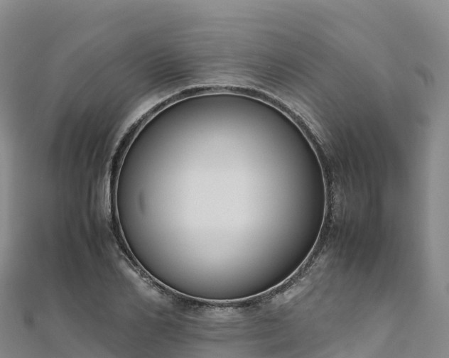 X0000110730982200906191522