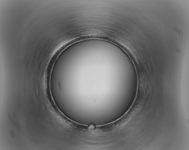 X0000110730983200906191522