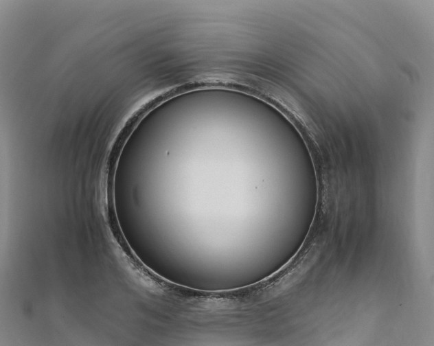 X0000110730984200906191522