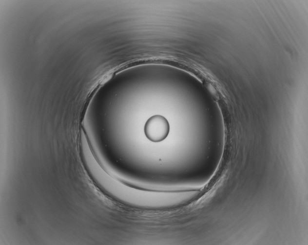 X0000110730985200906191522