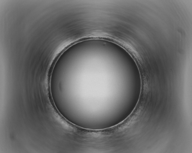 X0000110730990200906191522