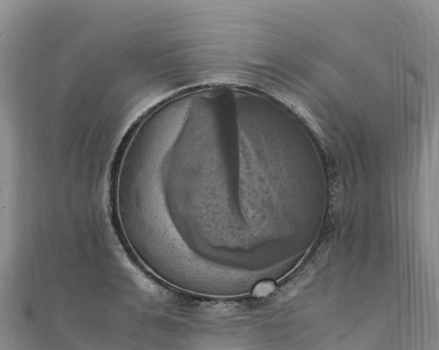 X0000110730991200906191522