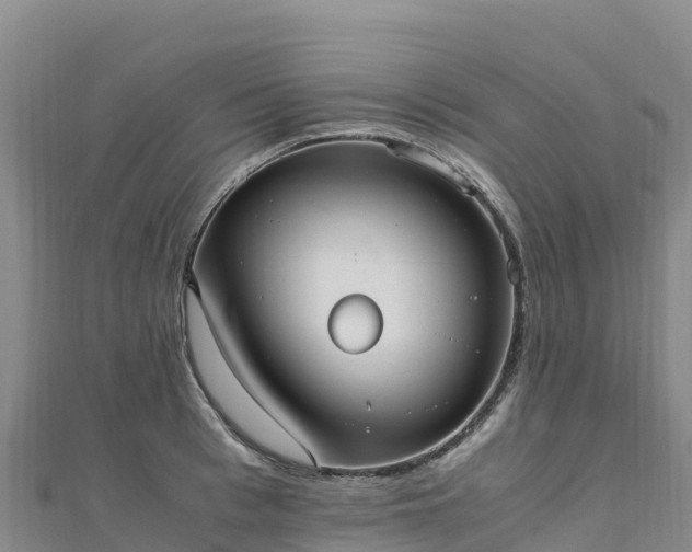 X0000110730993200906191522