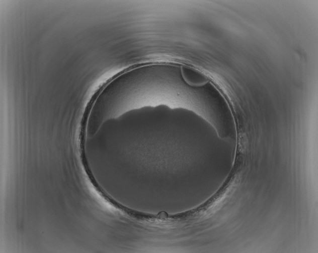 X0000110730995200906191522