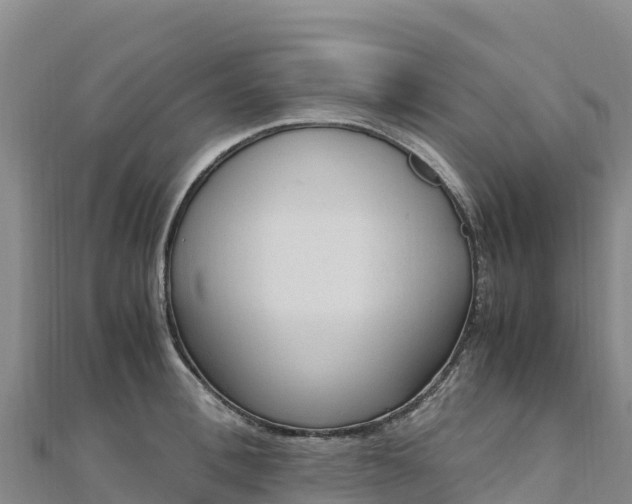 X0000110730996200906191522