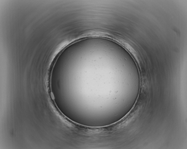 X0000110730997200906191522