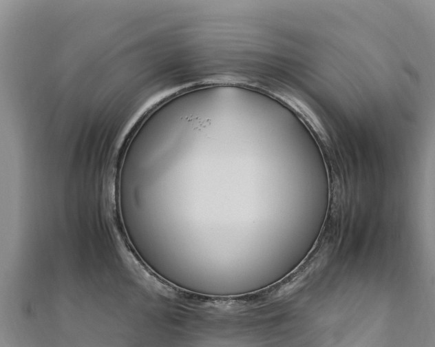 X0000110731000200906191522