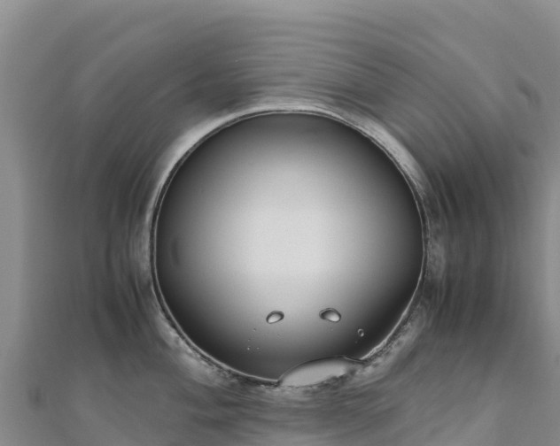 X0000110731004200906191522