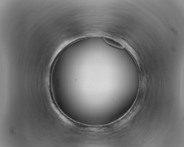 X0000110731005200906191522