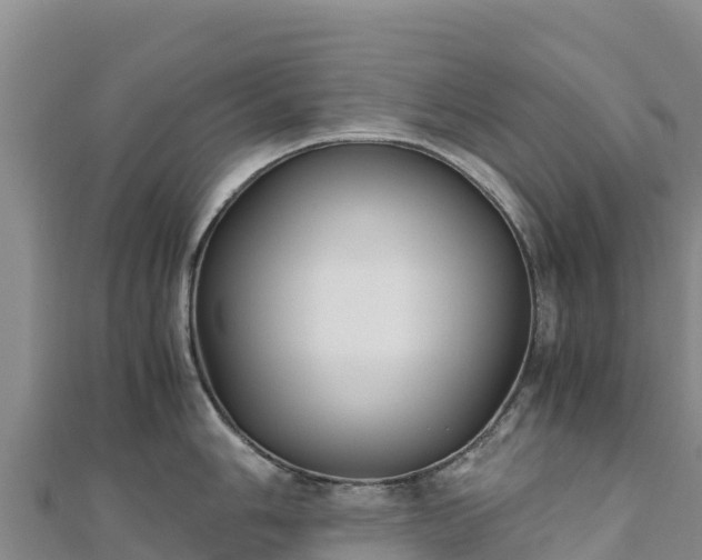 X0000110731006200906191522