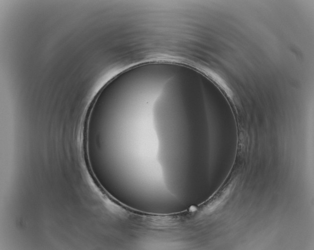 X0000110731007200906191522