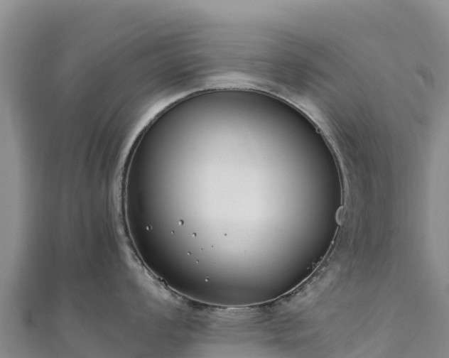 X0000110731008200906191522