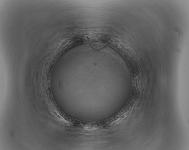 X0000110731009200906191521