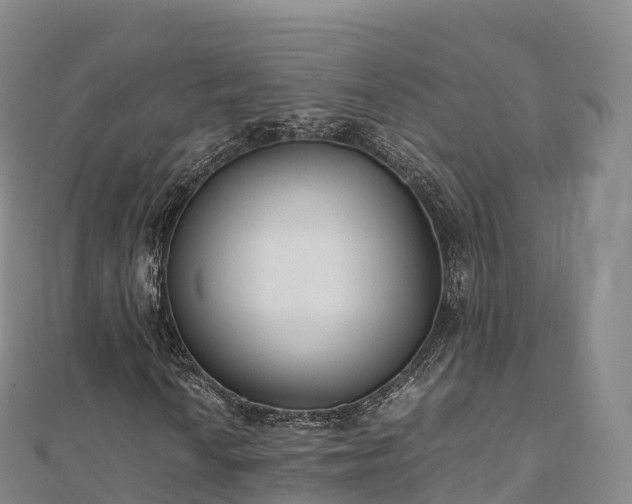 X0000110731010200906191521