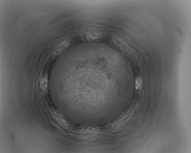 X0000110731011200906191521