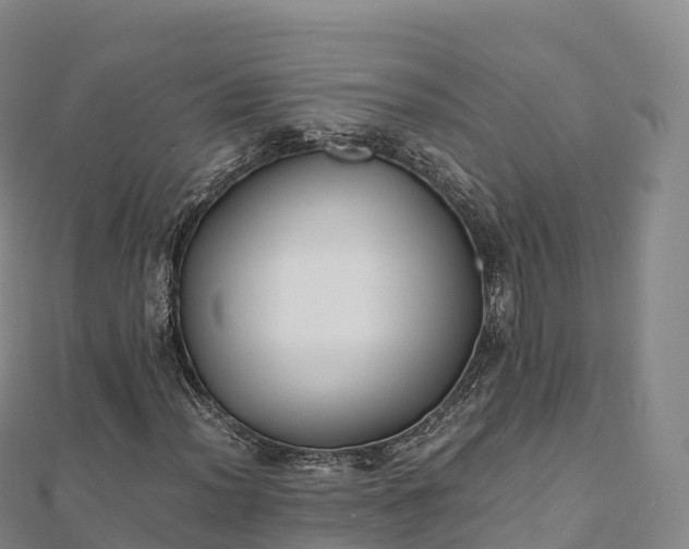 X0000110731012200906191521