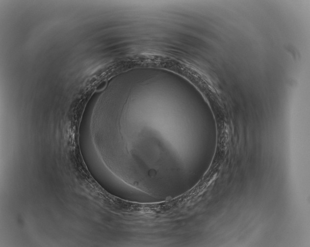 X0000110731013200906191521