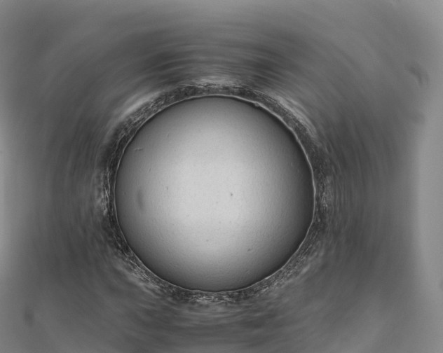 X0000110731015200906191521