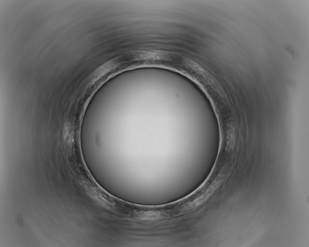 X0000110731017200906191521