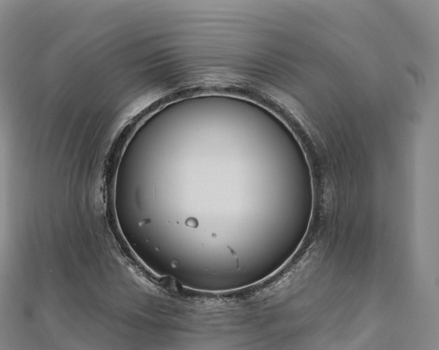 X0000110731018200906191521