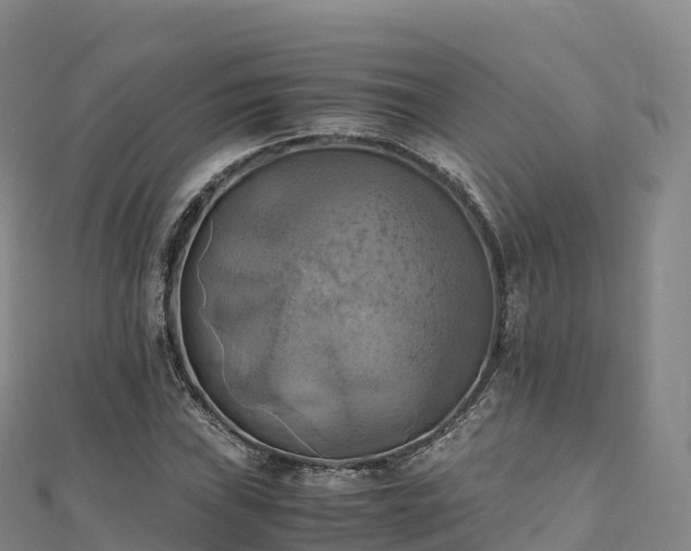 X0000110731019200906191522