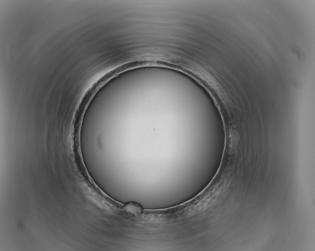 X0000110731020200906191522