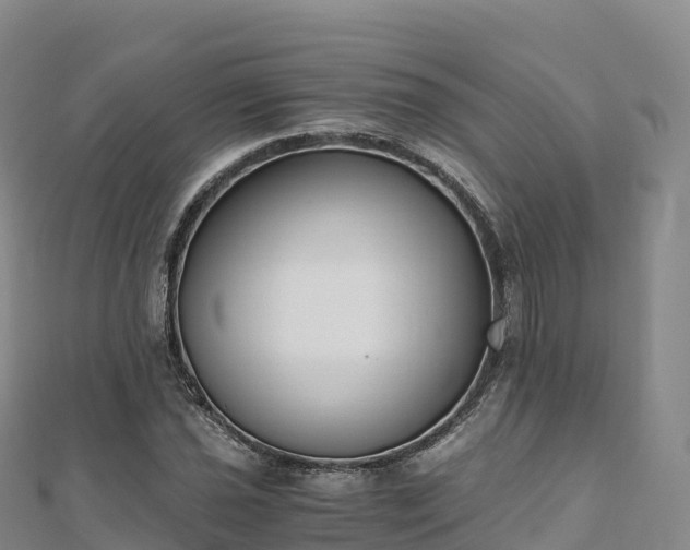 X0000110731021200906191522