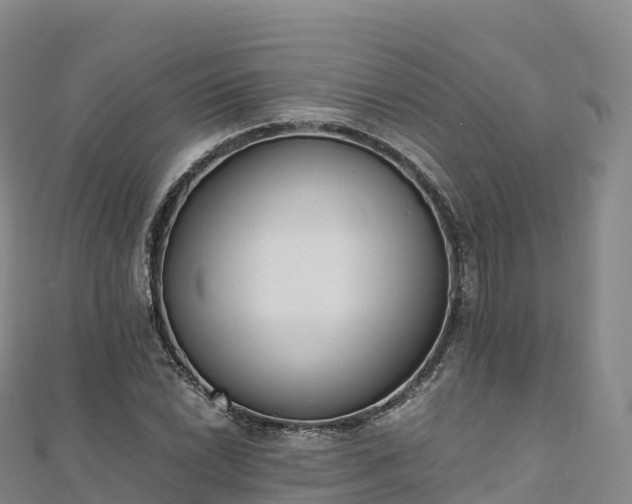 X0000110731022200906191522