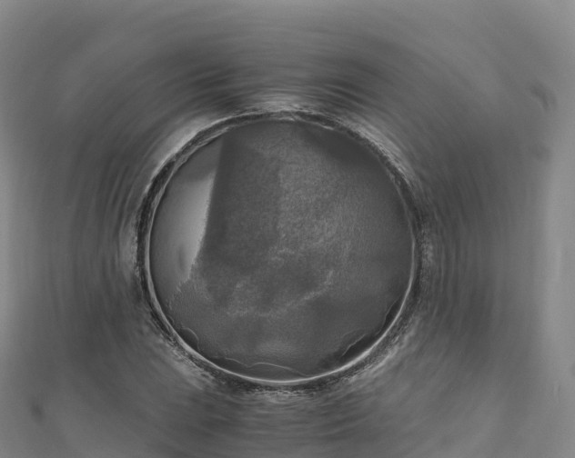 X0000110731023200906191522