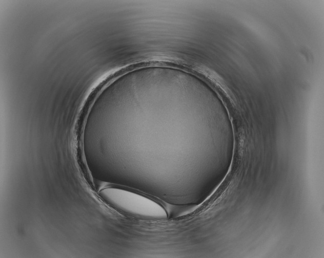 X0000110731024200906191522