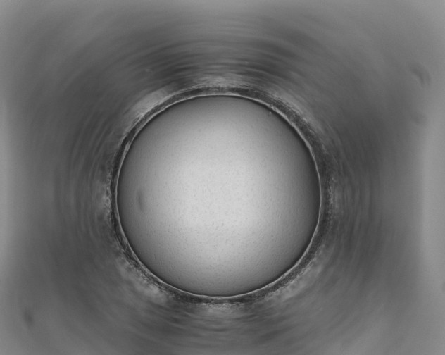 X0000110731025200906191522