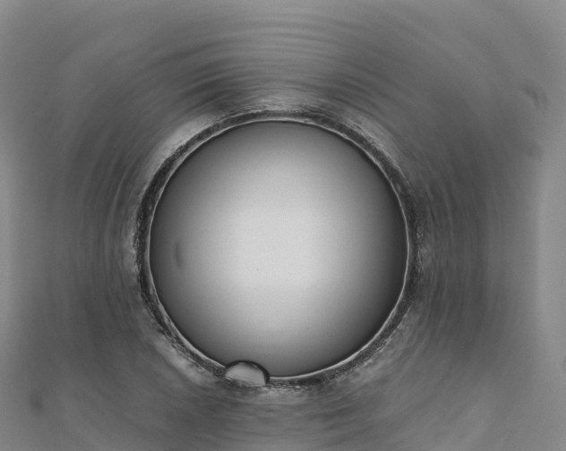 X0000110731026200906191522