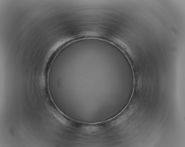 X0000110731027200906191522