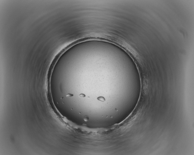 X0000110731028200906191522