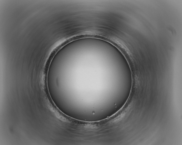 X0000110731029200906191522