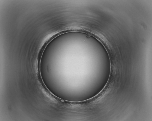 X0000110731030200906191522