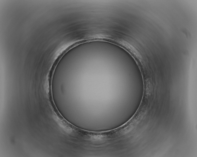 X0000110731031200906191522