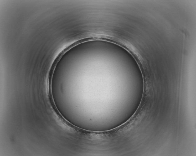 X0000110731032200906191522