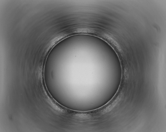 X0000110731033200906191522