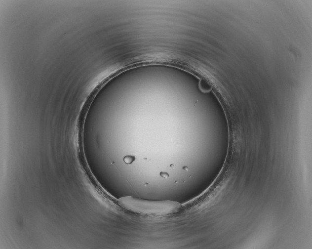 X0000110731034200906191522