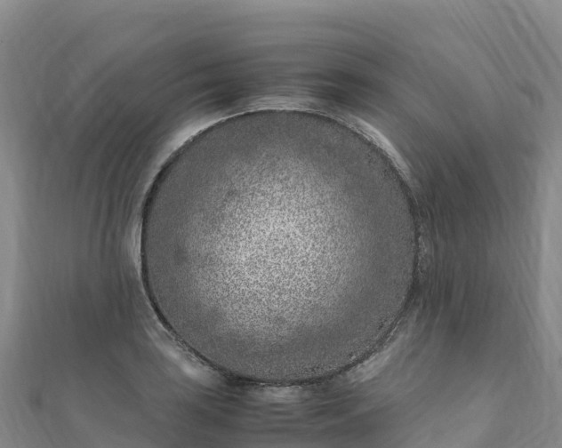 X0000110731035200906191522